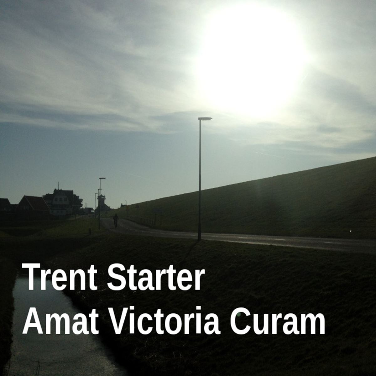 Amat Victoria Curam Cover