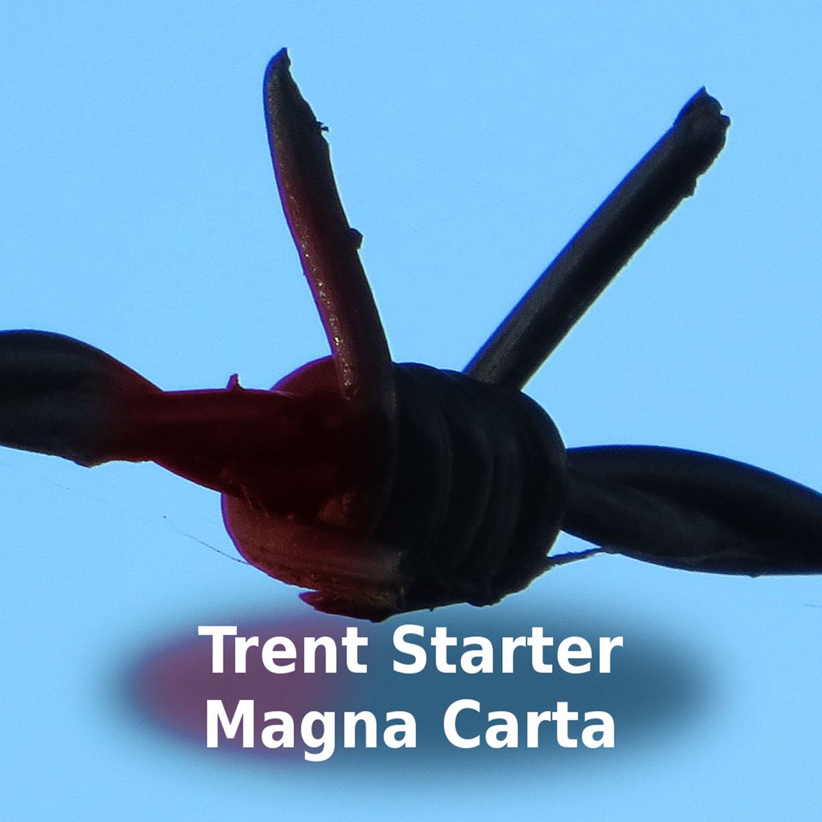 Magna Carta Cover