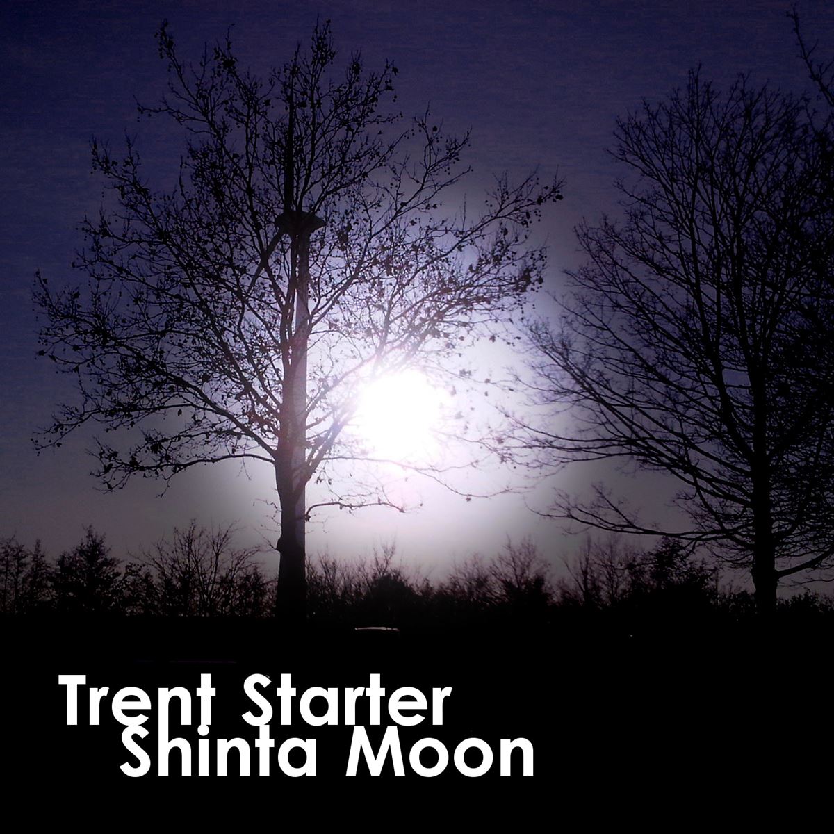 Shinta Moon Cover